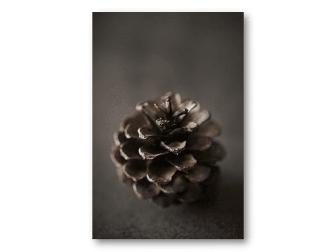 Hovedbilde 50 stk | Kongle | 10x15 cm